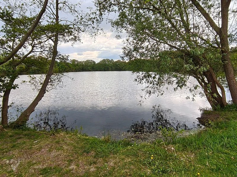 Boberger Niederung und Strand – Bild 2