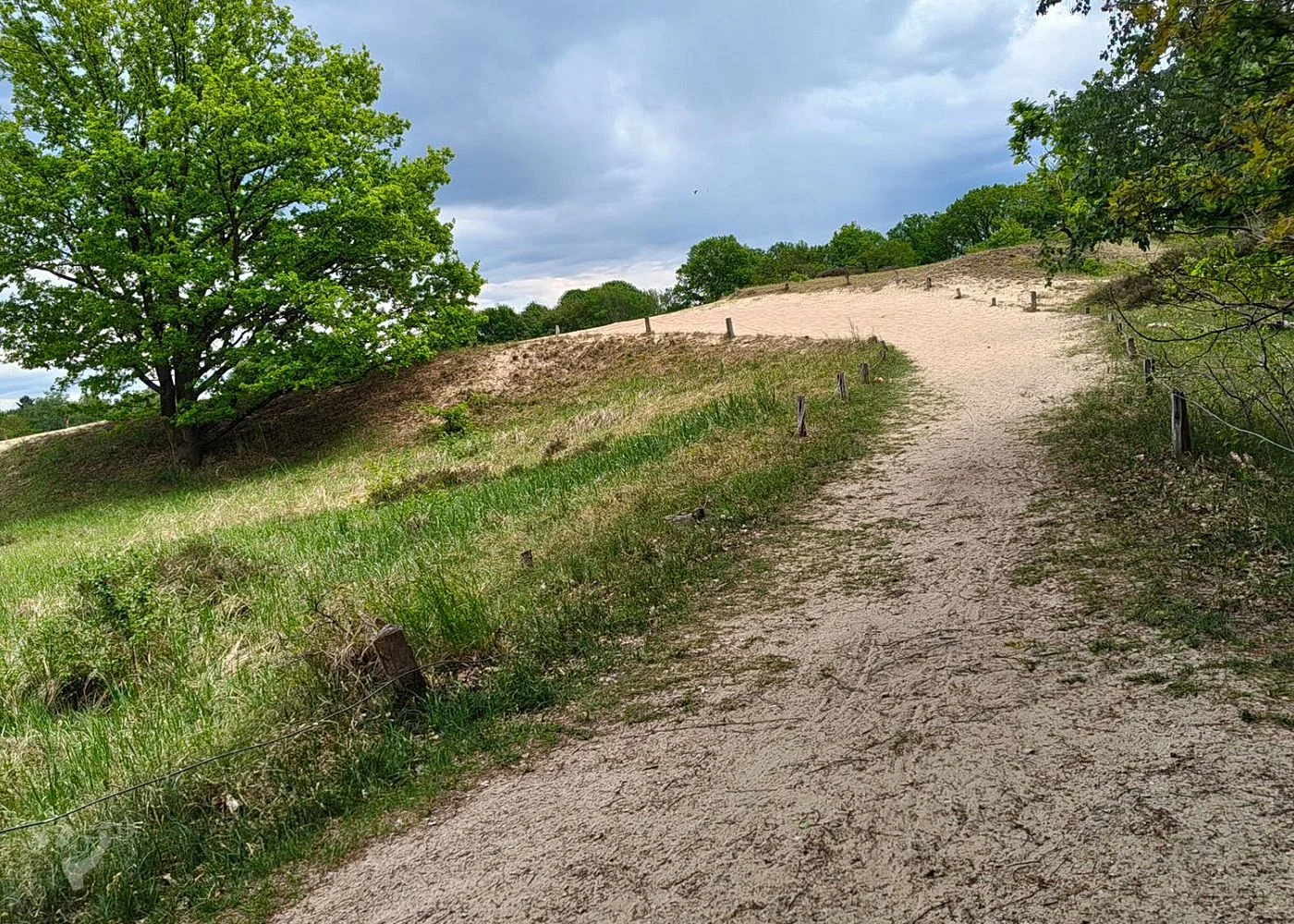 Boberger Dünen – Foto 2