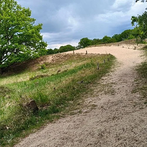 Boberger Dünen