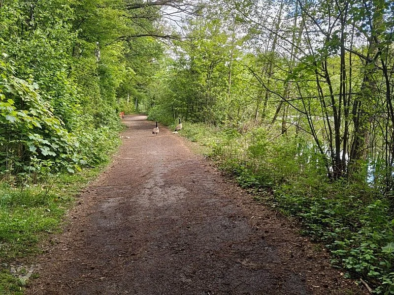 Naturschutzgebiet Raakmoor – Bild 10
