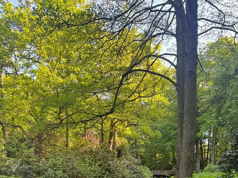 Hirschpark und Spielplatz – Bild 2