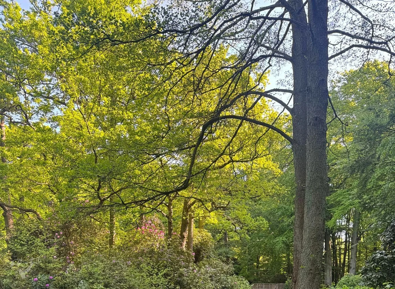 Hirschpark und Spielplatz – Foto 2