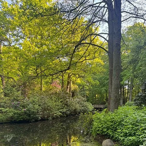 Hirschpark und Spielplatz