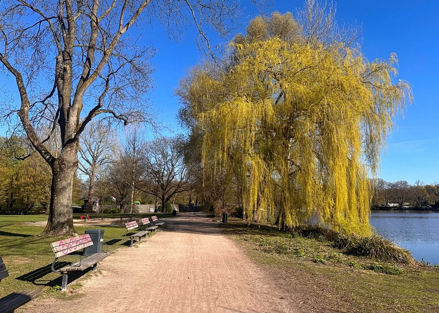 Hayns Park – Foto 9