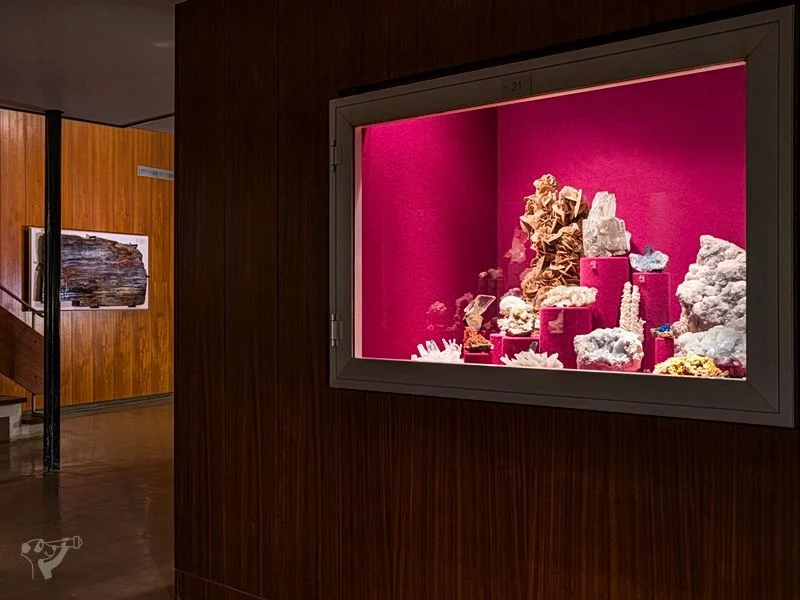Museum der Natur · Mineralogische Ausstellung