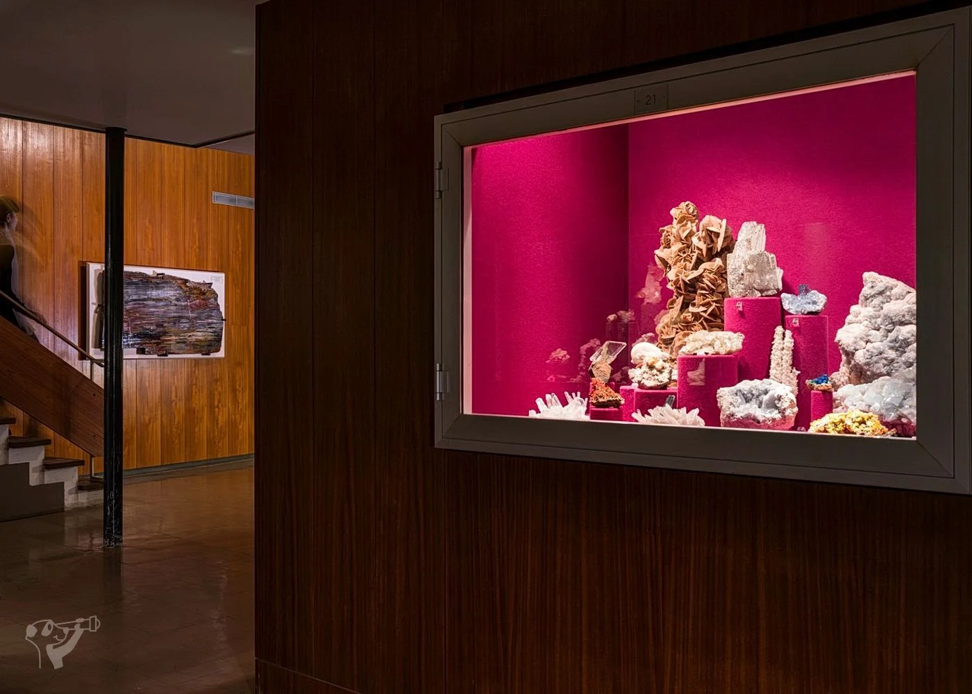 Museum der Natur · Mineralogische Ausstellung – Foto 2
