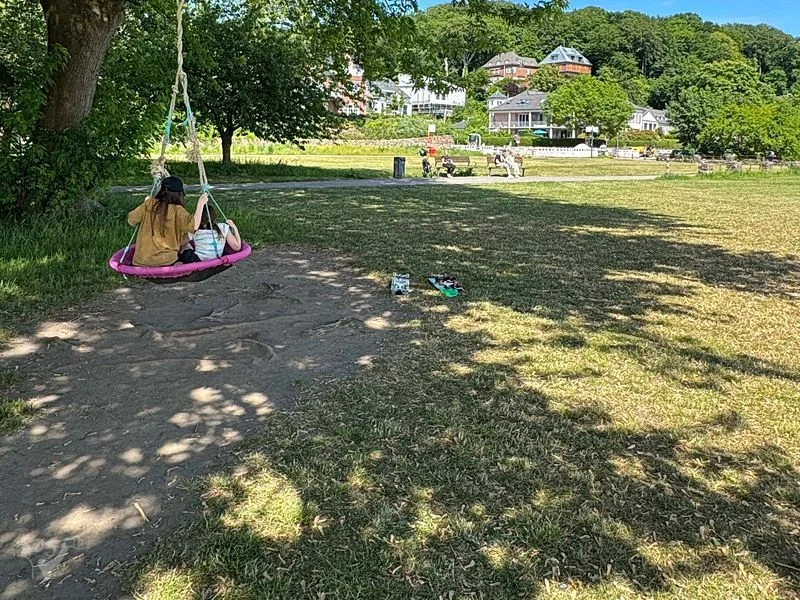Baumschaukeln an der Elbe – Bild 13