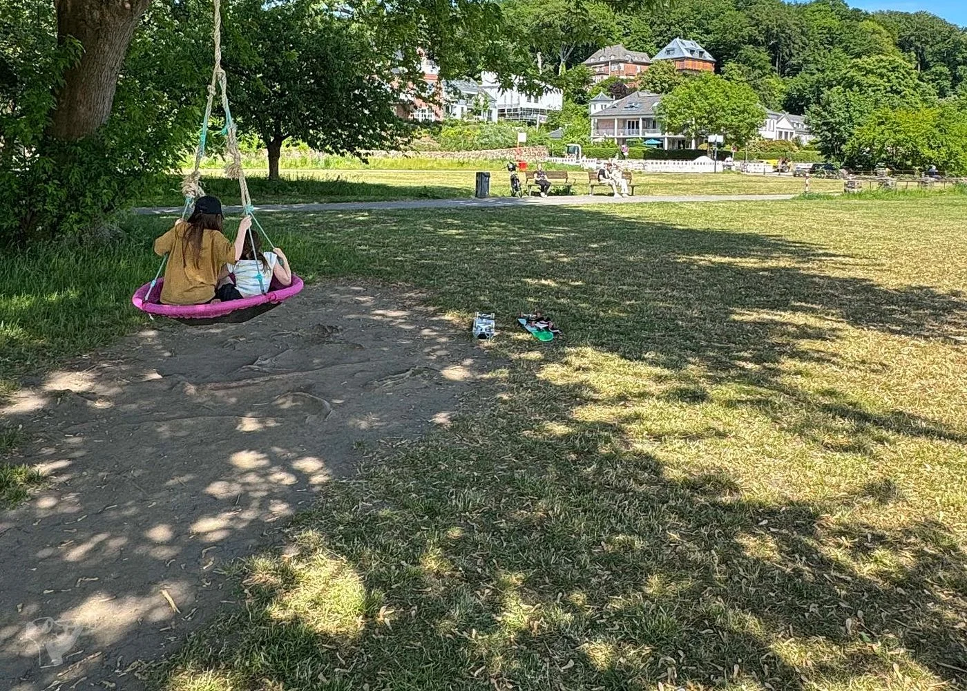 Baumschaukeln an der Elbe – Foto 13