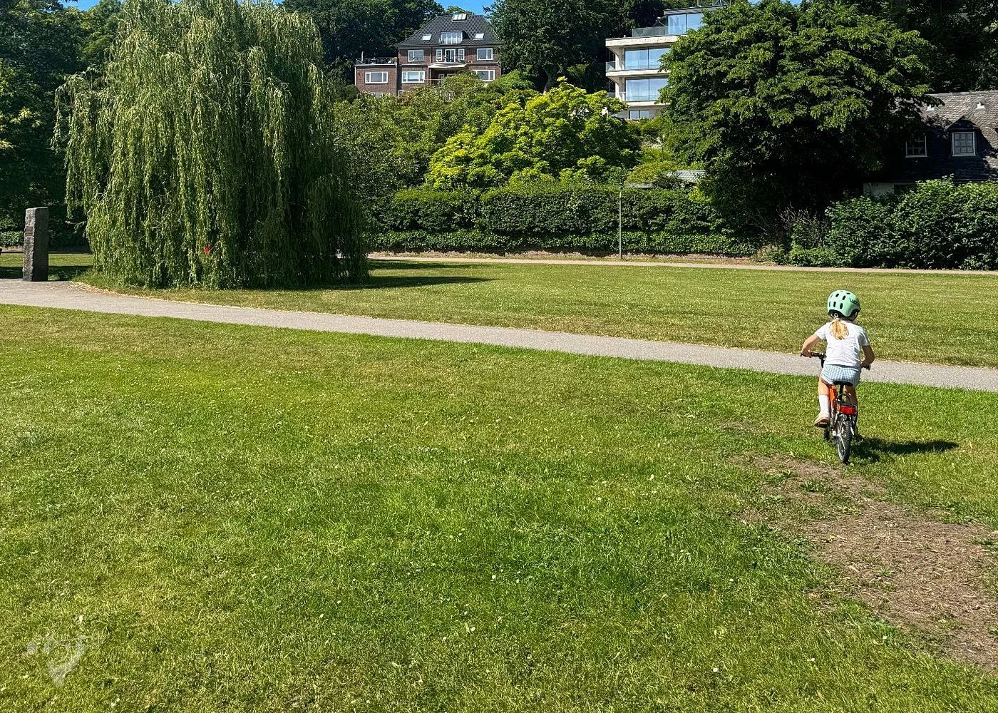 Baumschaukeln an der Elbe – Foto 18