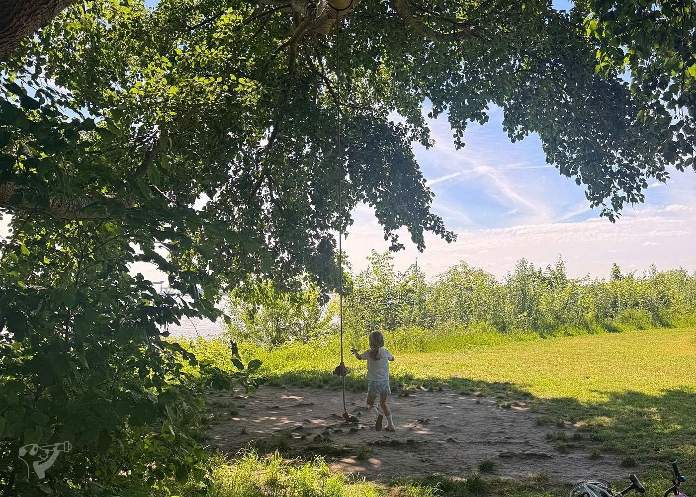 Baumschaukeln an der Elbe – Foto 5