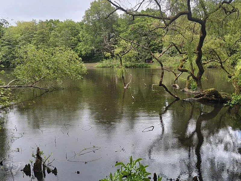 Eppendorfer Mühlenteich – Bild 4