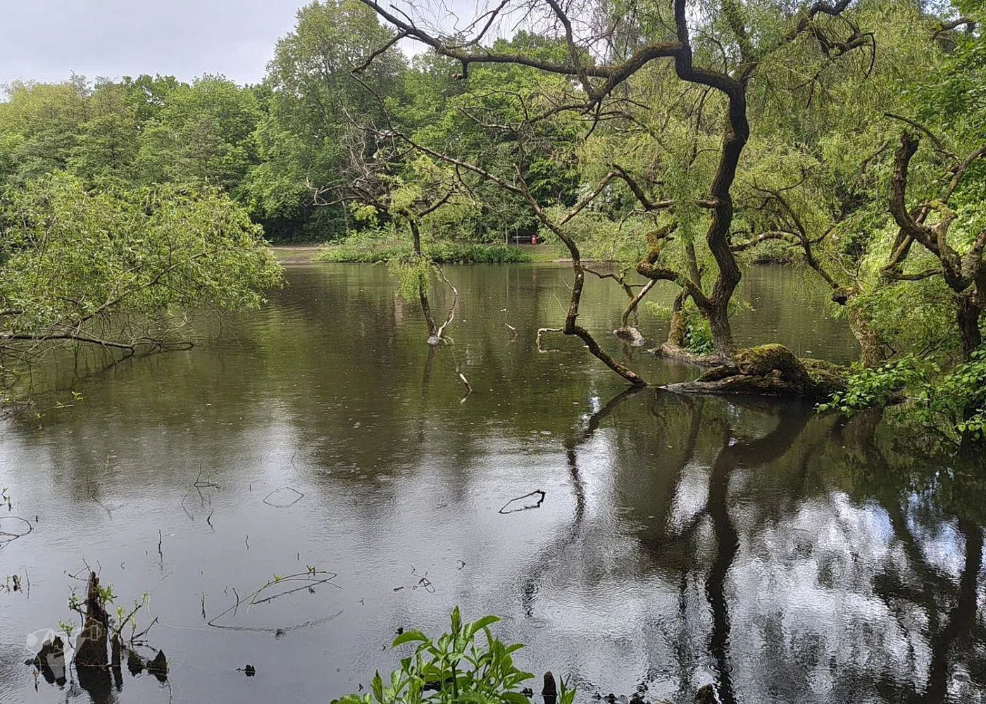 Eppendorfer Mühlenteich – Foto 3
