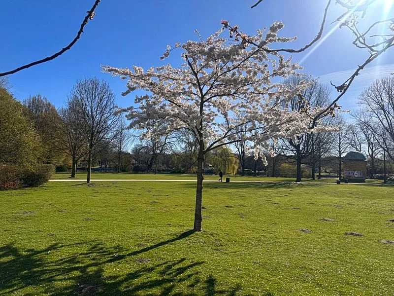 Hayns Park – Bild 3