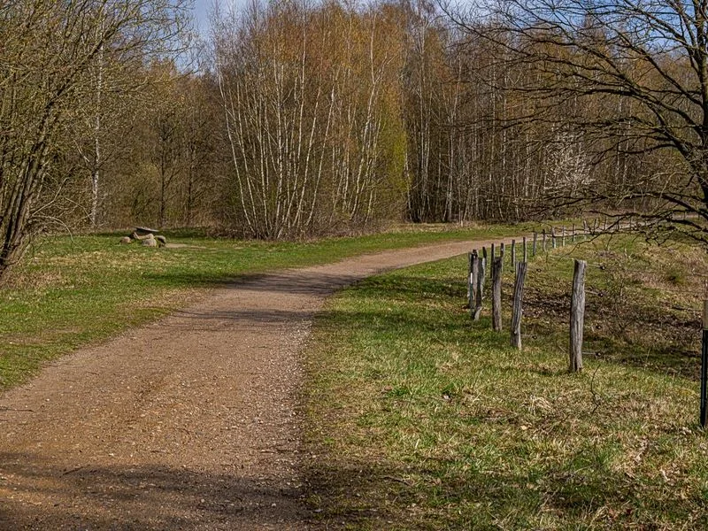 Naturschutzgebiet Höltingbaum – Bild 4