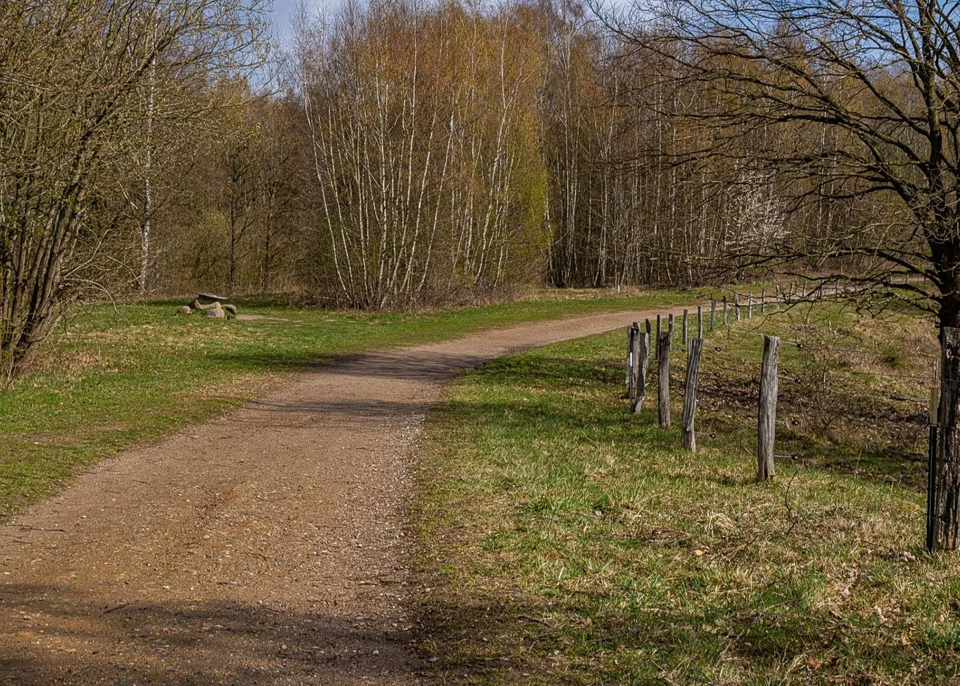 Naturschutzgebiet Höltingbaum – Foto 4