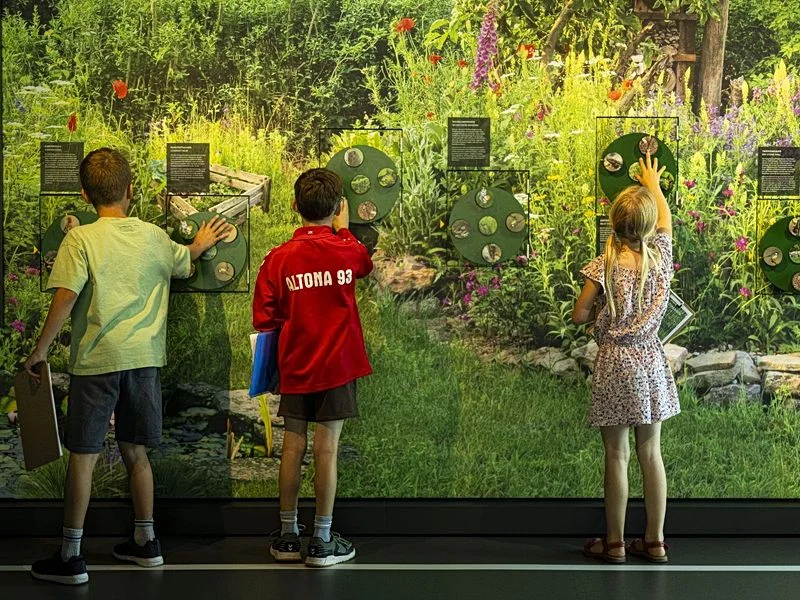 Botschaft der Wildtiere – Bild 1