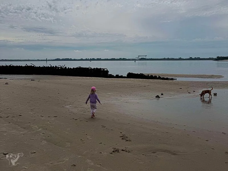 Falkensteiner Ufer Elbstrand – Bild 11