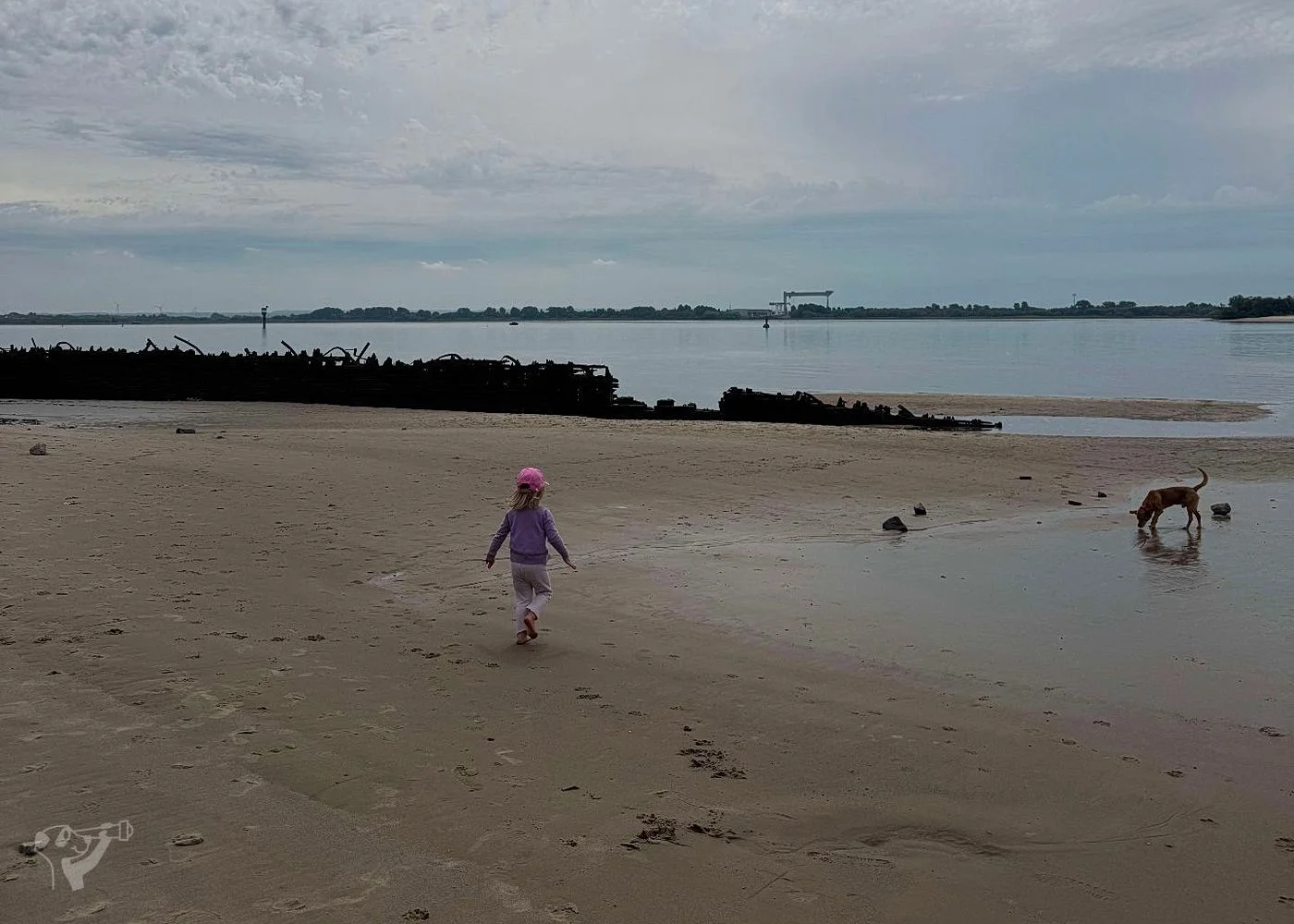 Falkensteiner Ufer Elbstrand – Foto 11