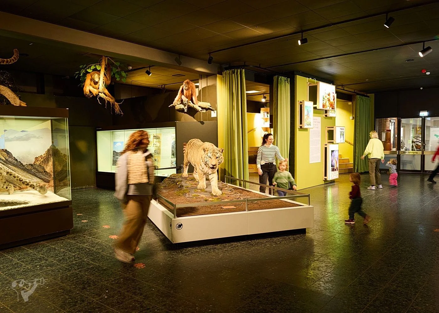 Museum der Natur · Zoologische Ausstellung – Foto 5