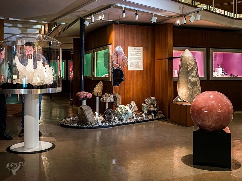 Museum der Natur · Mineralogische Ausstellung – Bild 6