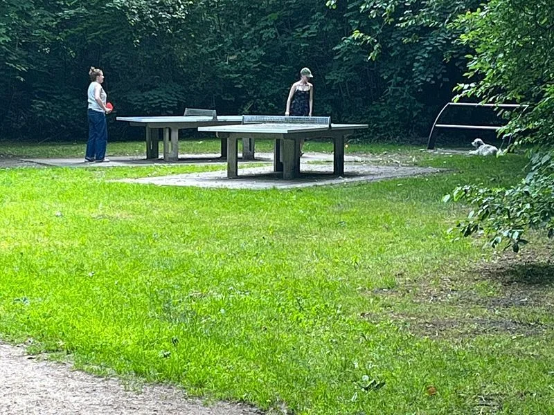 Waldspielplatz Teutonenweg (Pilzspielplatz) - der Schattenspender – Bild 23
