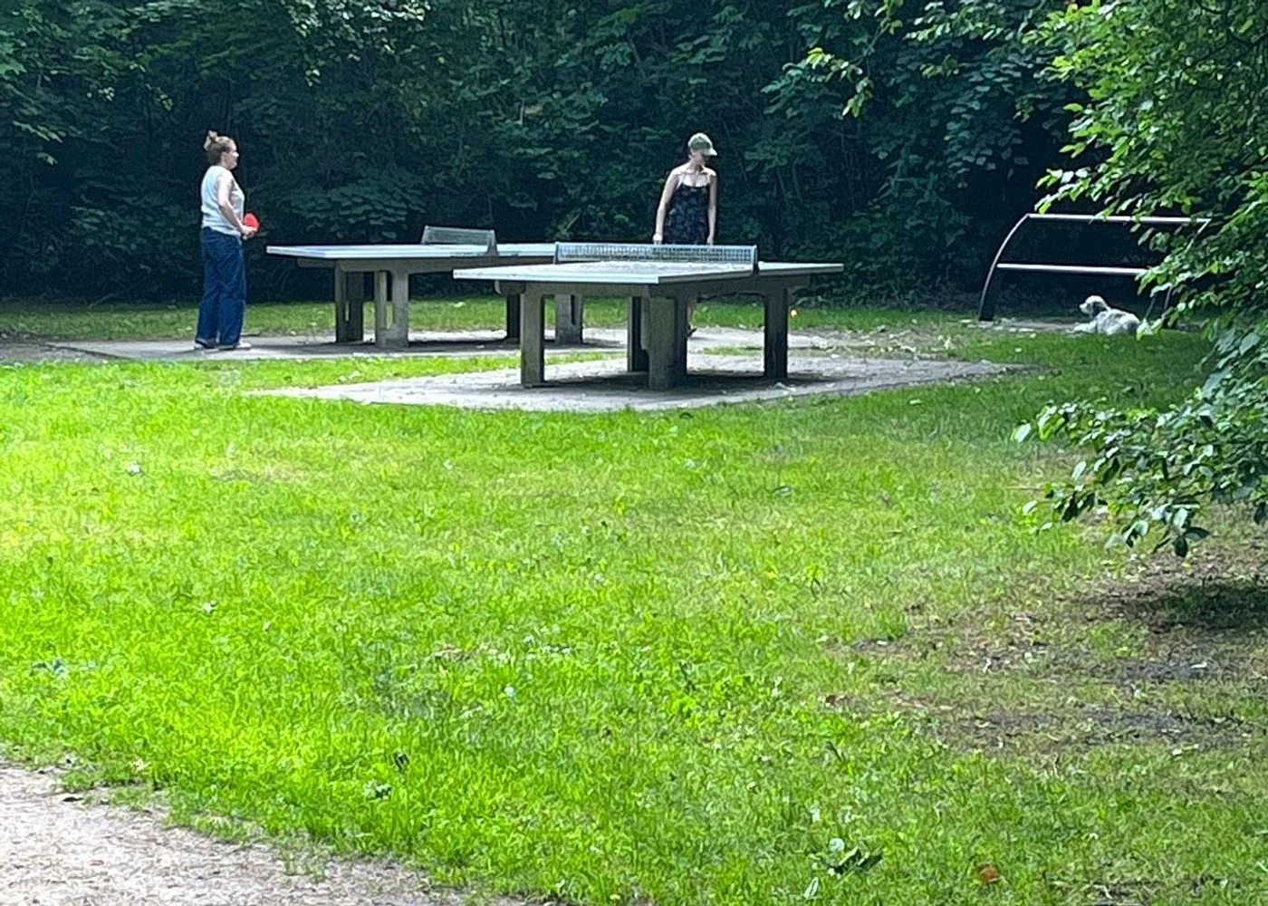 Waldspielplatz Teutonenweg (Pilzspielplatz) - der Schattenspender – Foto 23