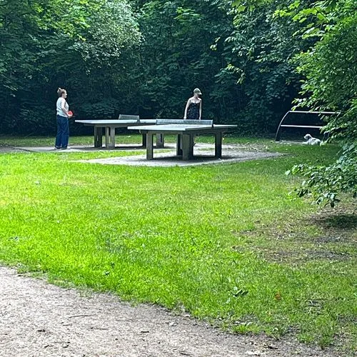 Waldspielplatz Teutonenweg (Pilzspielplatz) - der Schattenspender