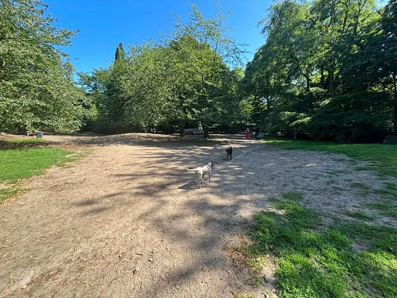 Spielplatz Unzerstraße im Walter-Möller-Park – Bild 23