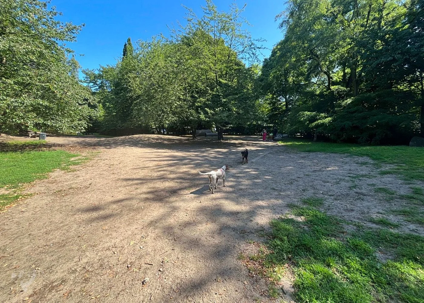Spielplatz Unzerstraße im Walter-Möller-Park – Foto 21