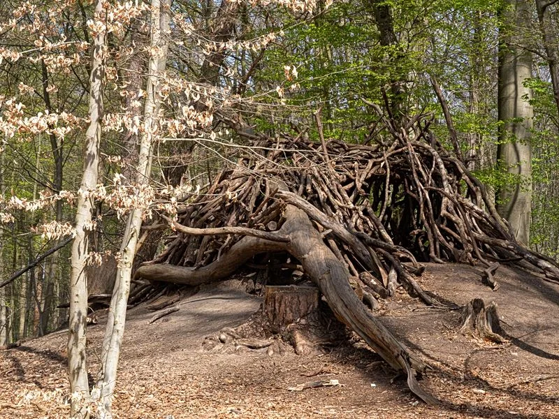 Drachenschlucht Wellingsbüttel – Bild 5