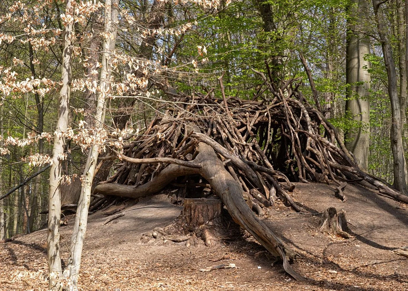 Drachenschlucht Wellingsbüttel – Foto 5