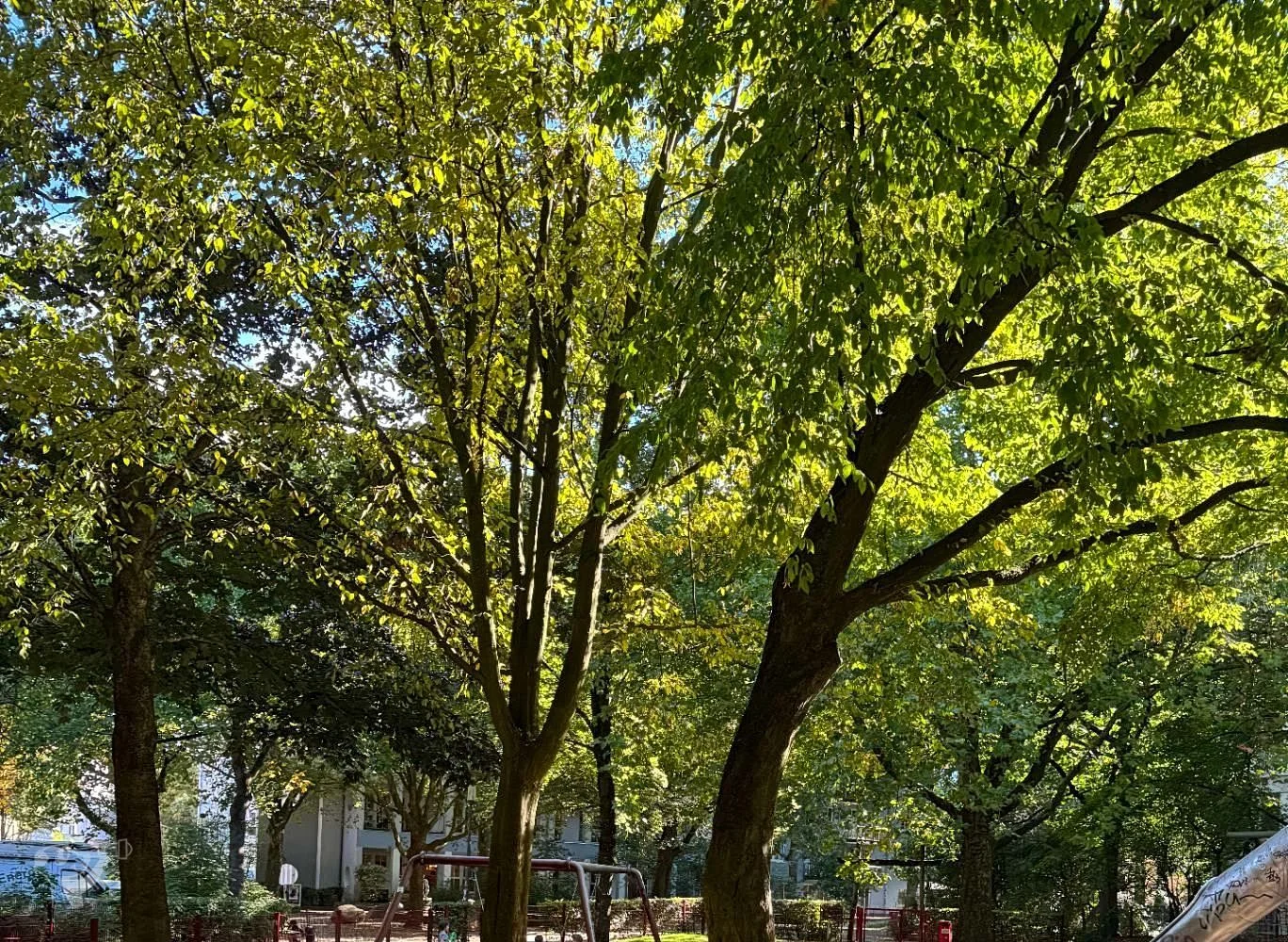 Spielplätze Lindenallee – Foto 10