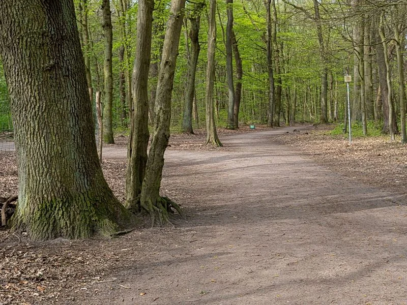 Niendorfer Gehege Lehrpfad – Bild 11