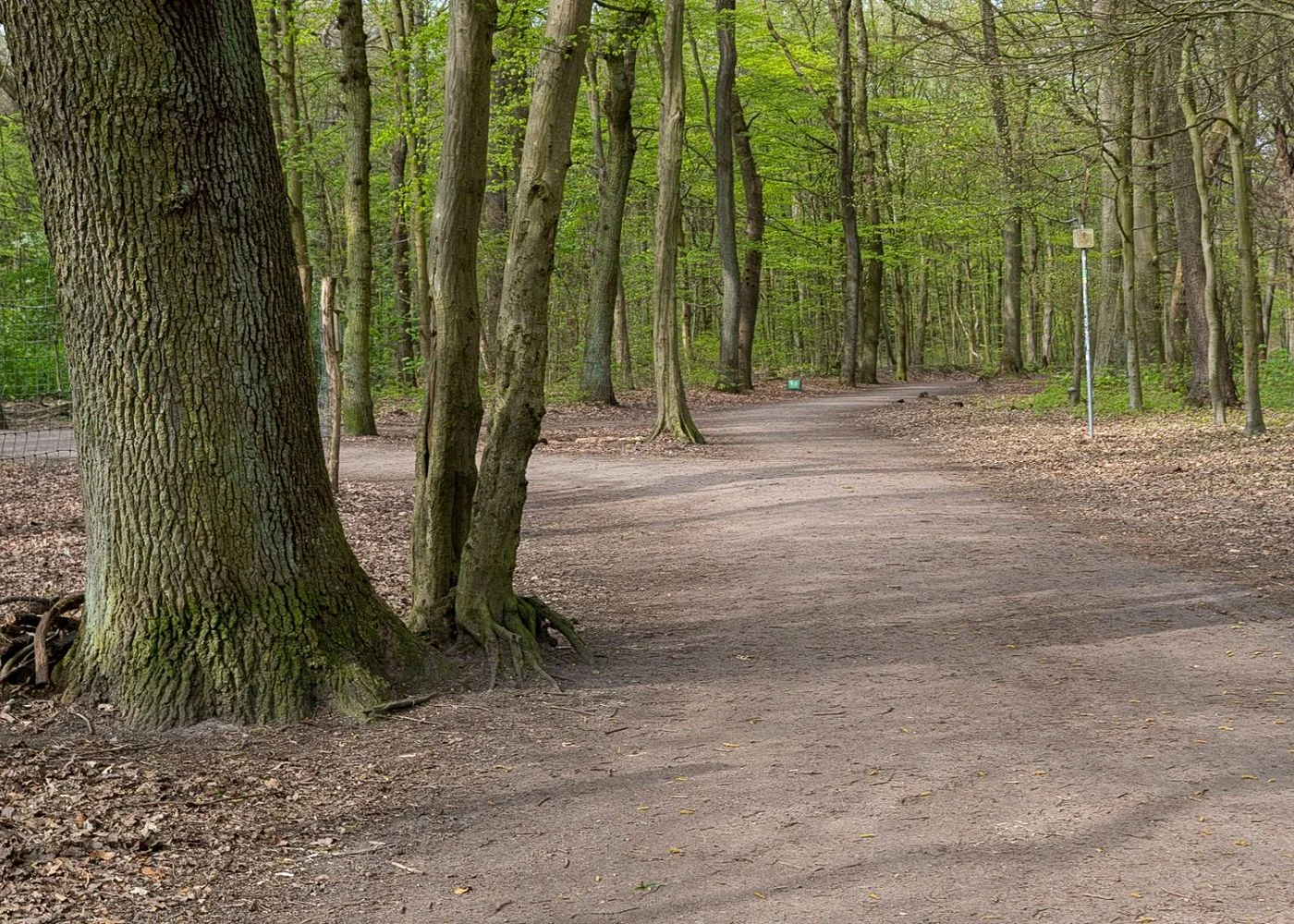 Niendorfer Gehege Lehrpfad – Foto 11