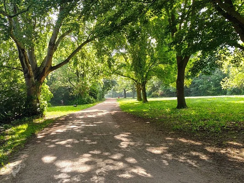 Wasserpark Dove-Elbe – Bild 11
