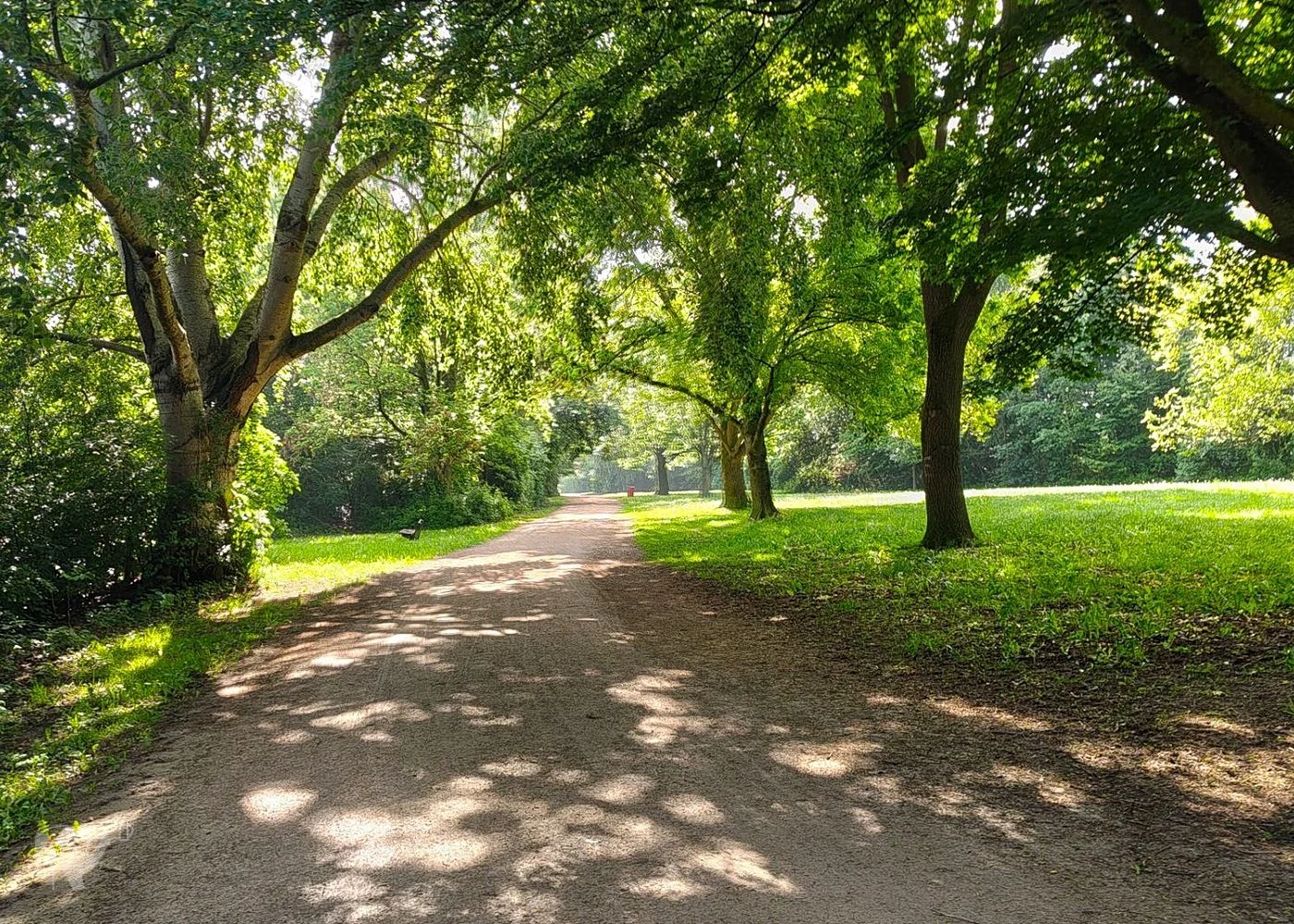 Wasserpark Dove-Elbe – Foto 11