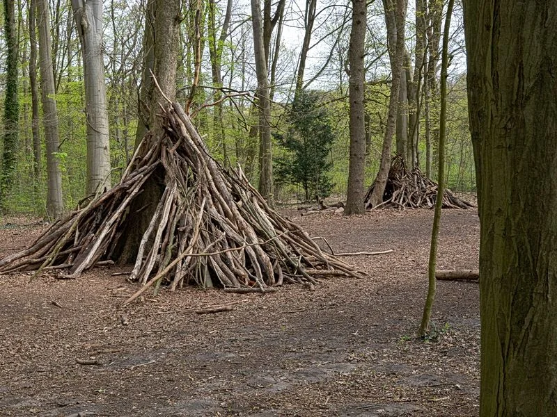 Niendorfer Gehege Lehrpfad – Bild 7