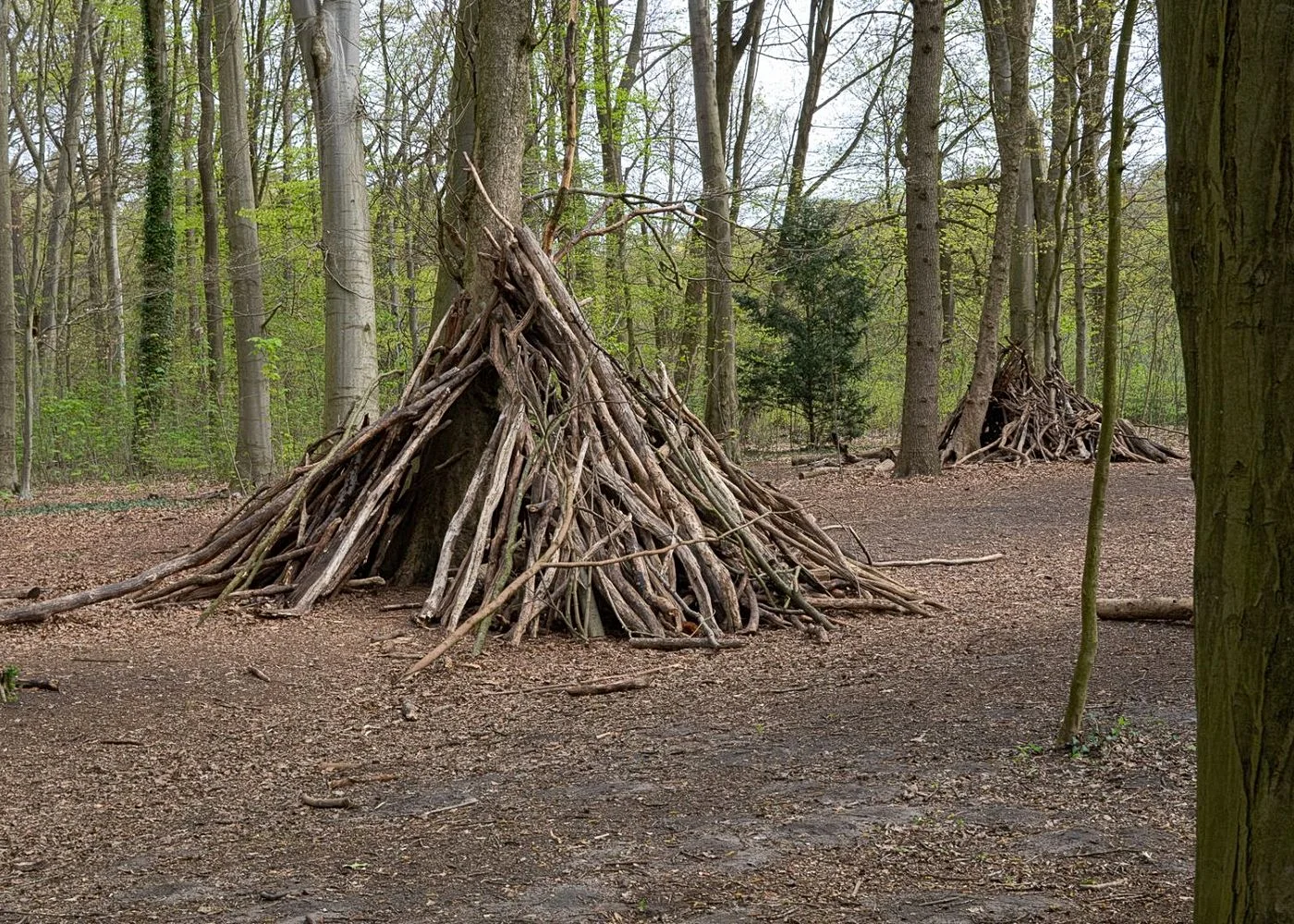Niendorfer Gehege Lehrpfad – Foto 7