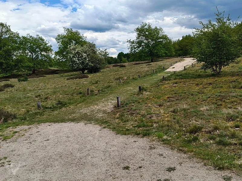 Boberger Dünen – Bild 7