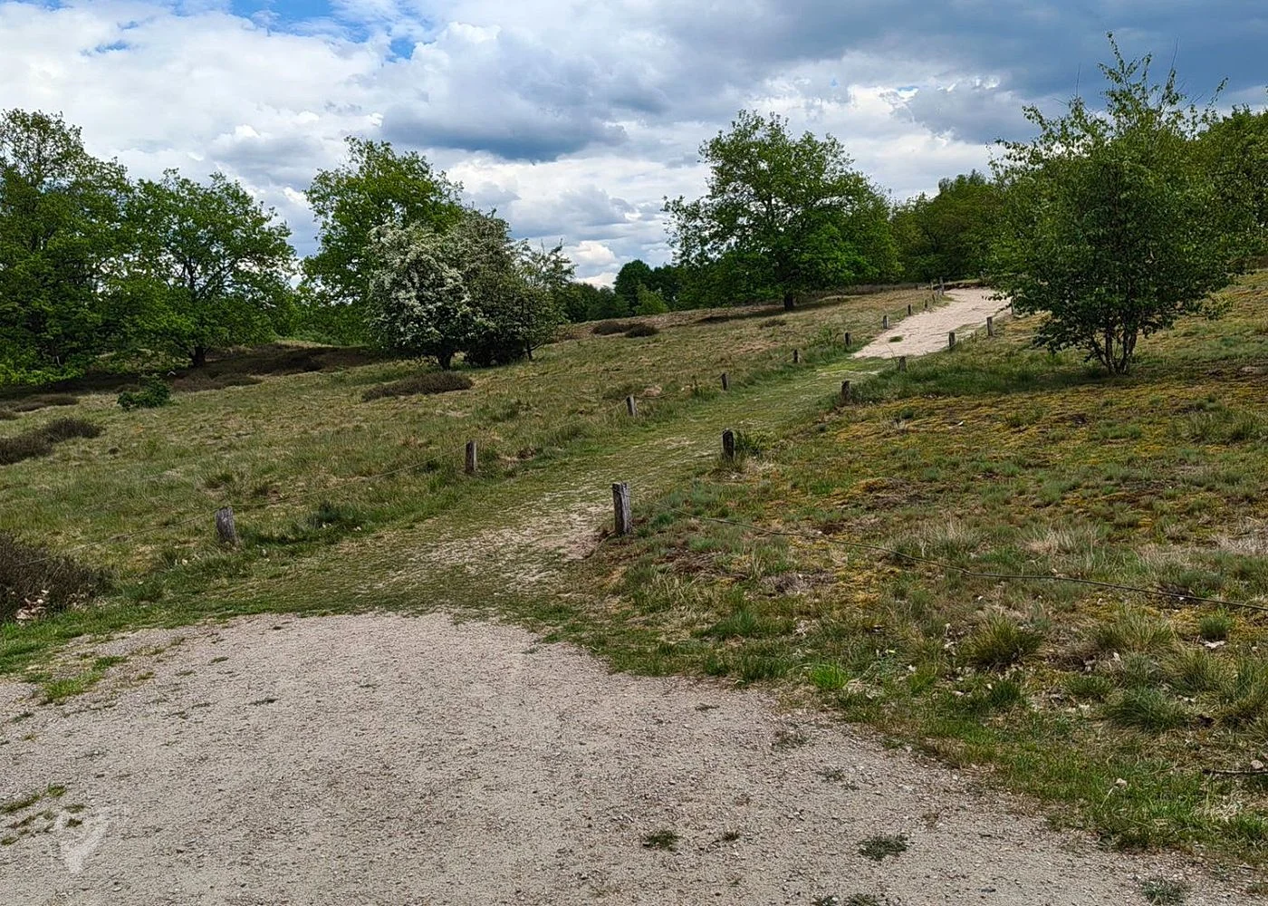 Boberger Dünen – Foto 7