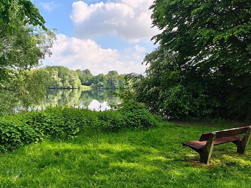 Wasserpark Dove-Elbe – Bild 10