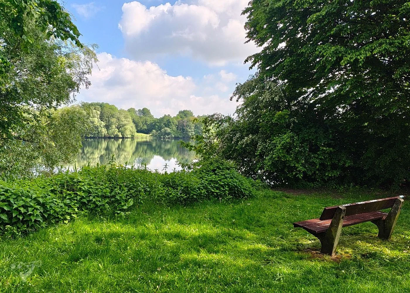 Wasserpark Dove-Elbe – Foto 10