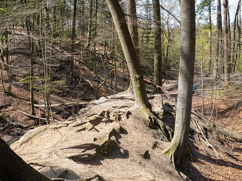 Drachenschlucht Wellingsbüttel – Bild 4