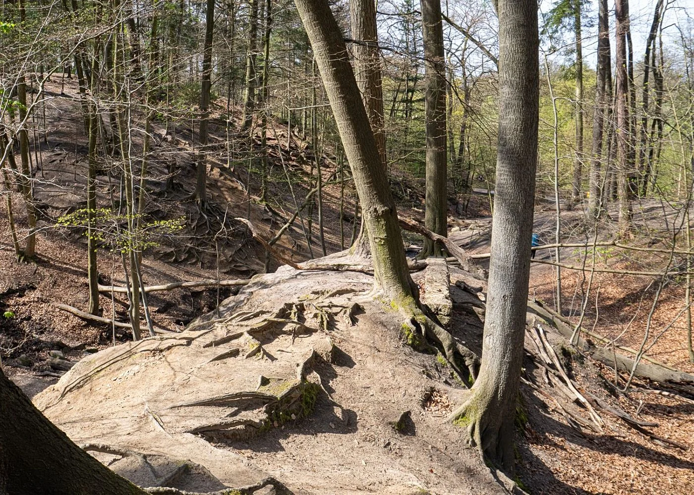 Drachenschlucht Wellingsbüttel – Foto 4