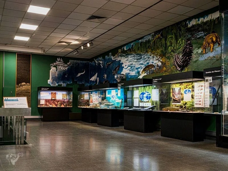 Museum der Natur · Geologische Ausstellung