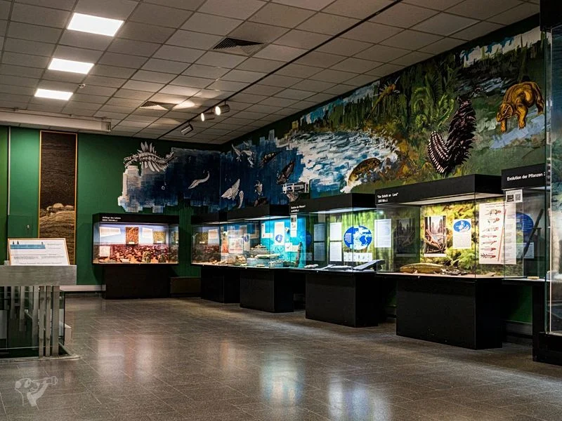 Museum der Natur · Geologische Ausstellung – Bild 6