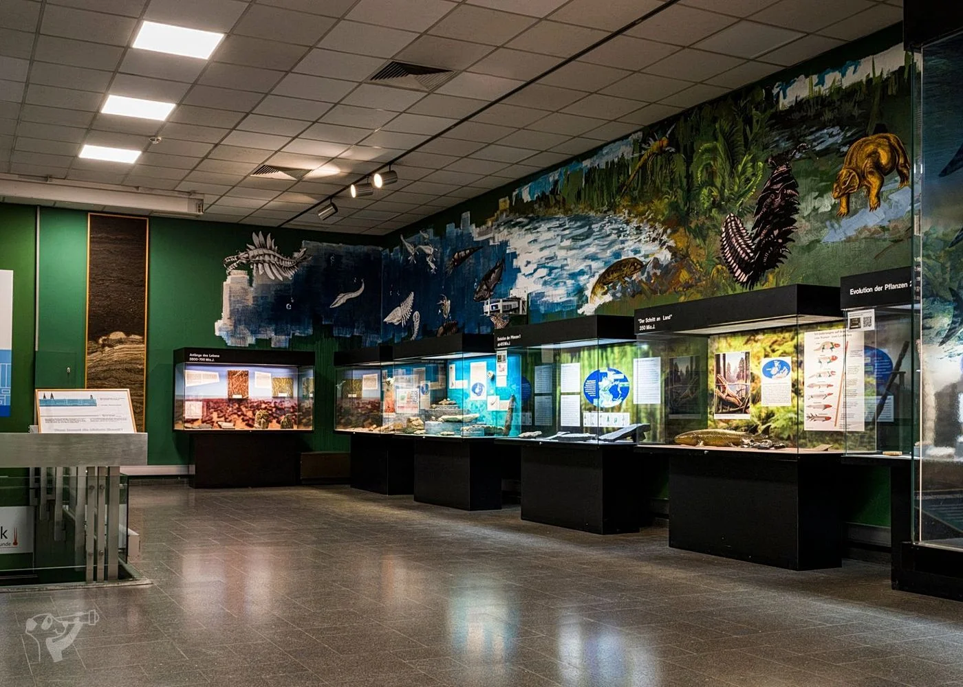 Museum der Natur · Geologische Ausstellung – Foto 5