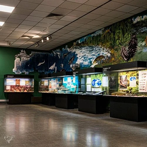 Museum der Natur · Geologische Ausstellung