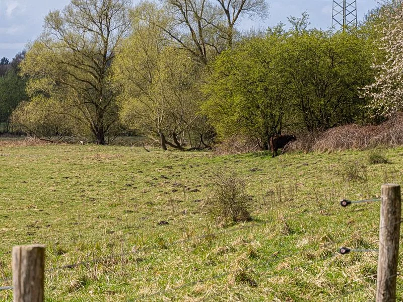 Naturschutzgebiet Höltingbaum – Bild 3