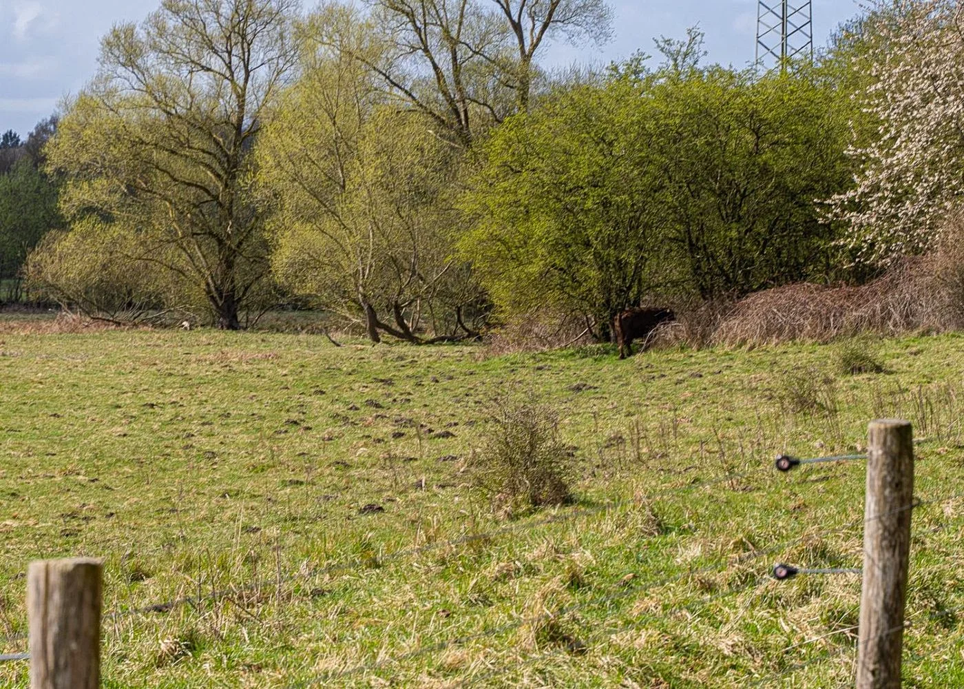 Naturschutzgebiet Höltingbaum – Foto 3